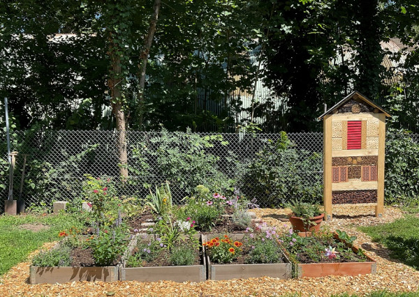 Bundesweiter Pflanzwettbewerb „Deutschland summt“ – Teilnahme der Stadtbienen in der Kita Sternschnuppe des Studierendenwerks Karlsruhe Bundesweiter Pflanzwettbewerb „Deutschland summt“ – Teilnahme der Stadtbienen in der Kita Sternschnuppe des Studierendenwerks Karlsruhe